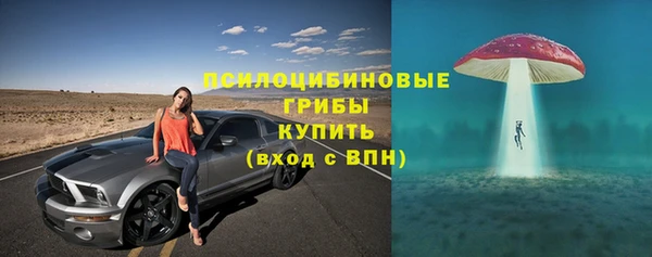 марки lsd Михайлов