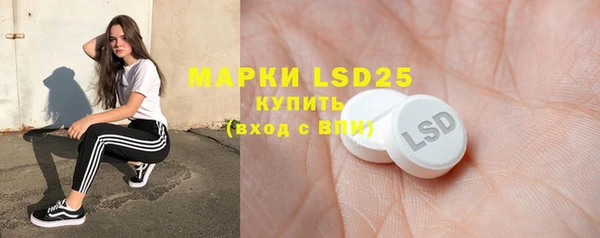 ПСИЛОЦИБИНОВЫЕ ГРИБЫ Бердск